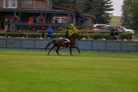 08346 - Shea - 2026 Rocky Mountain Classic II - Thursday August 13th