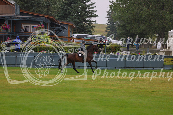 08349 - Shea - 2026 Rocky Mountain Classic II - Thursday August 13th