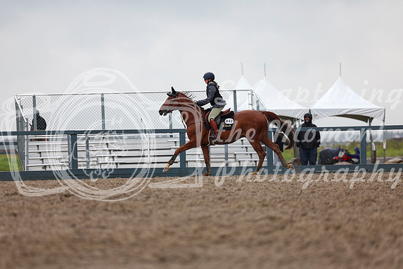 08964 - Shea - 2026 Rocky Mountain Classic II - Thursday August 13th