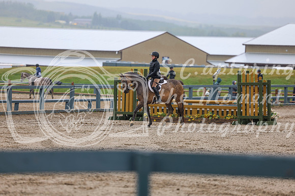 09833 - Shea - 2026 Rocky Mountain Classic II - Thursday August 13th