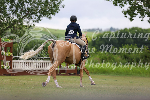 11596 - Shea - 2026 Rocky Mountain Classic II - Friday August 14th