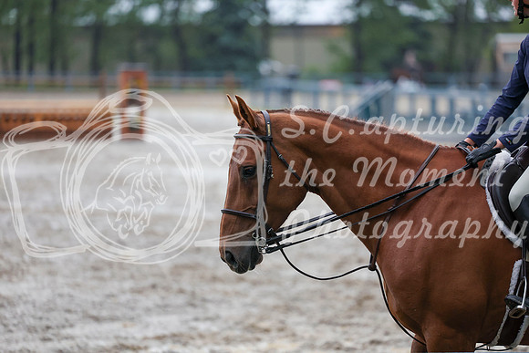 00425 - Shea - 2026 Rocky Mountain Classic II - Friday August 14th