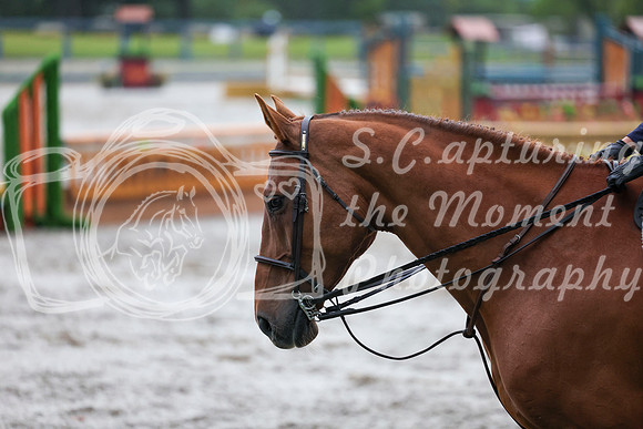 00431 - Shea - 2026 Rocky Mountain Classic II - Friday August 14th