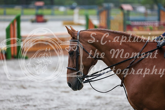 00432 - Shea - 2026 Rocky Mountain Classic II - Friday August 14th