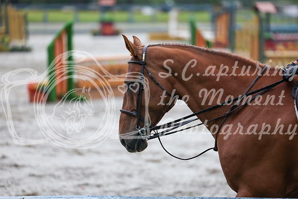 00433 - Shea - 2026 Rocky Mountain Classic II - Friday August 14th
