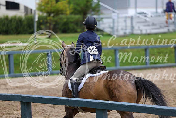 03796 - Shea - 2026 Rocky Mountain Classic II - Friday August 14th