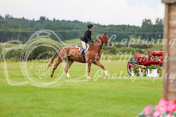 12048 - Shea - 2026 Rocky Mountain Classic II - Friday August 14th