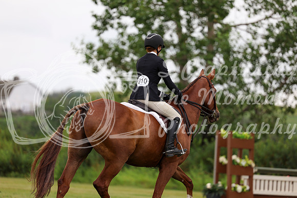 12312 - Shea - 2026 Rocky Mountain Classic II - Friday August 14th