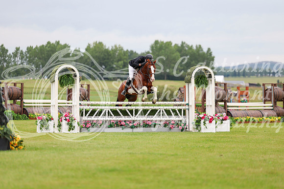 22279 - Shea - 2026 Rocky Mountain Classic II - Friday August 14th