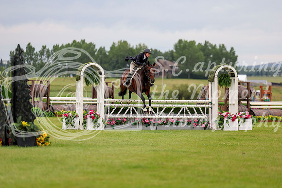 22356 - Shea - 2026 Rocky Mountain Classic II - Friday August 14th