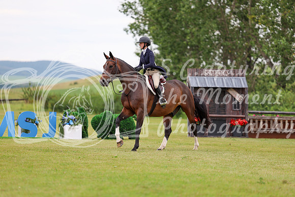 22504 - Shea - 2026 Rocky Mountain Classic II - Friday August 14th