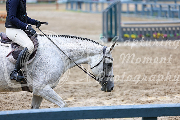 10451 - Shea - 2026 Rocky Mountain Classic II - Friday August 14th