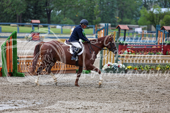 09874 - Shea - 2026 Rocky Mountain Classic II - Friday August 14th