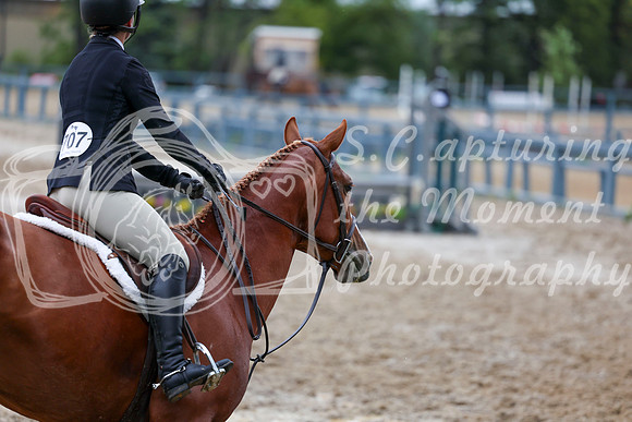 01935 - Shea - 2026 Rocky Mountain Classic II - Friday August 14th