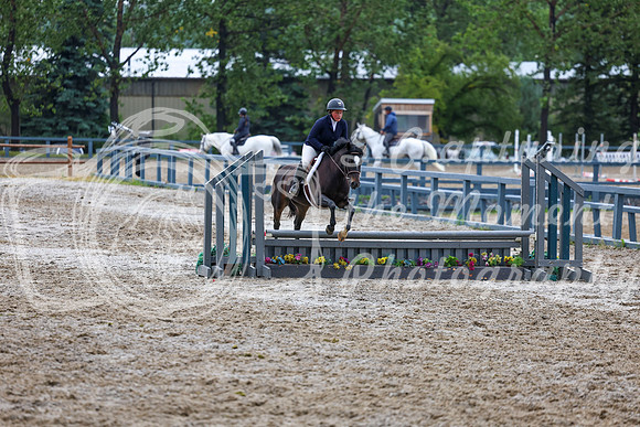 01584 - Shea - 2026 Rocky Mountain Classic II - Friday August 14th