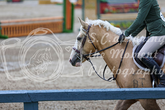 02620 - Shea - 2026 Rocky Mountain Classic II - Friday August 14th