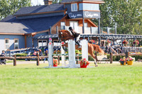09472 - Shea - 2026 Rocky Mountain Classic II - Saturday August 15th
