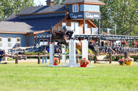 10071 - Shea - 2026 Rocky Mountain Classic II - Saturday August 15th