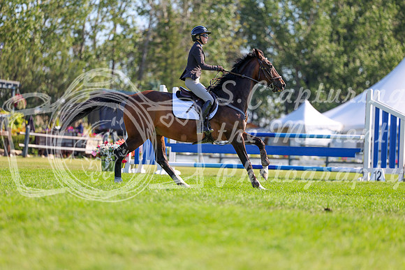 10090 - Shea - 2026 Rocky Mountain Classic II - Saturday August 15th