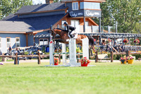 09986 - Shea - 2026 Rocky Mountain Classic II - Saturday August 15th