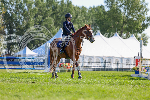 09329 - Shea - 2026 Rocky Mountain Classic II - Saturday August 15th