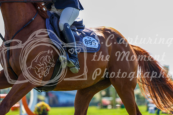 10189 - Shea - 2026 Rocky Mountain Classic II - Saturday August 15th
