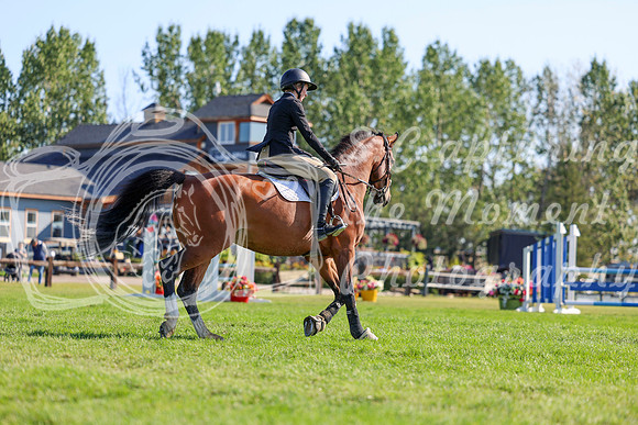 09577 - Shea - 2026 Rocky Mountain Classic II - Saturday August 15th