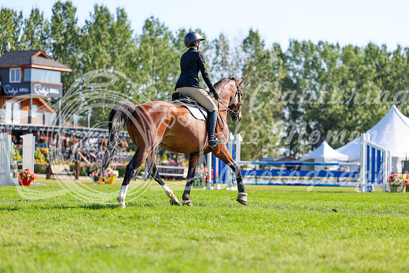 09582 - Shea - 2026 Rocky Mountain Classic II - Saturday August 15th