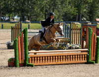 Pony