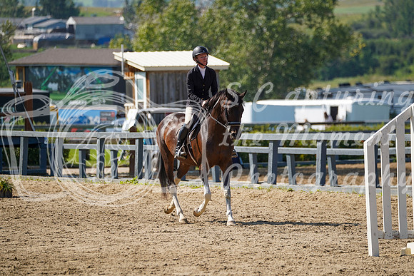 12974 - Grace - 2026 Rocky Mountain Classic II - Saturday August 15th