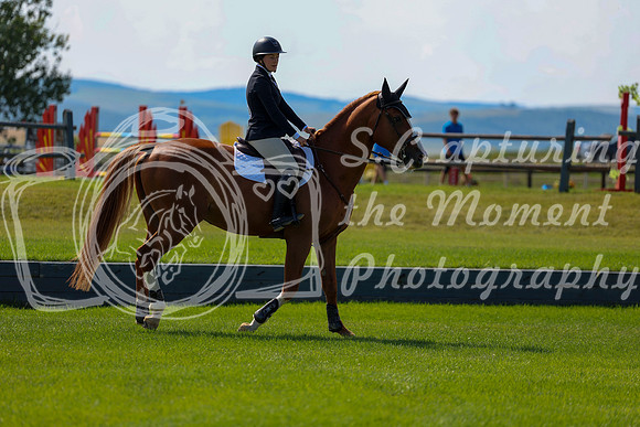 18175 - Shea - 2026 Rocky Mountain Classic II - Saturday August 15th