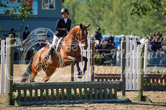 12534 - Grace - 2026 Rocky Mountain Classic II - Saturday August 15th