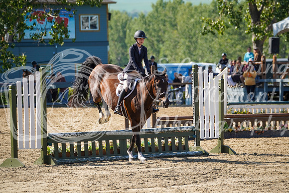 12710 - Grace - 2026 Rocky Mountain Classic II - Saturday August 15th