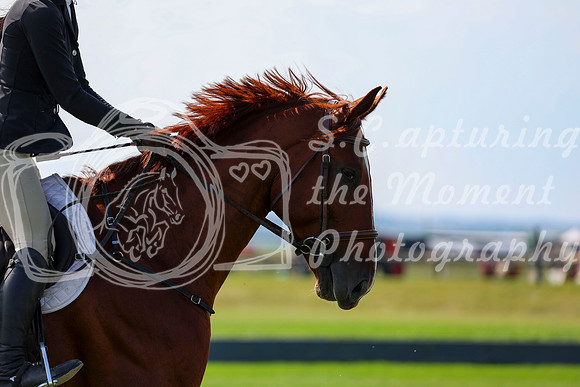 18038 - Shea - 2026 Rocky Mountain Classic II - Saturday August 15th