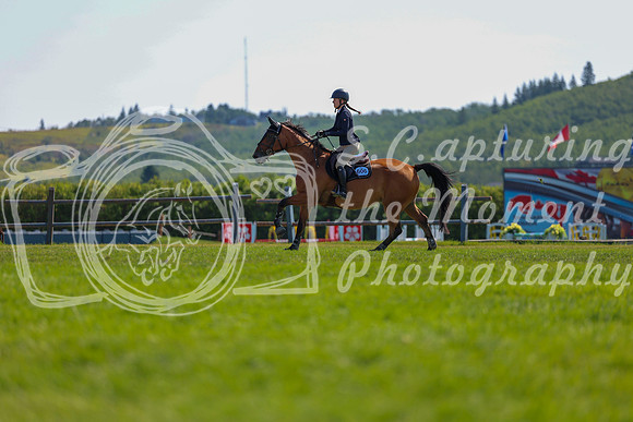 10377 - Shea - 2026 Rocky Mountain Classic II - Saturday August 15th