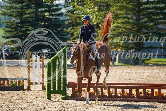 12794 - Grace - 2026 Rocky Mountain Classic II - Saturday August 15th