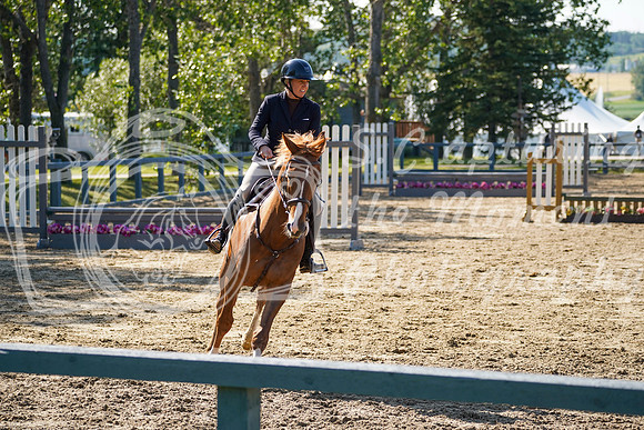 12795 - Grace - 2026 Rocky Mountain Classic II - Saturday August 15th