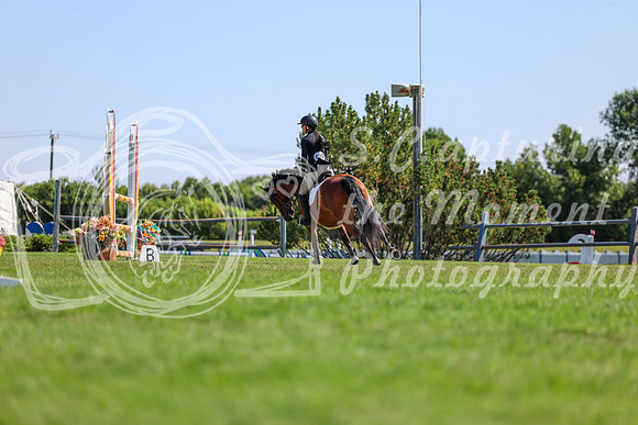 11392 - Shea - 2026 Rocky Mountain Classic II - Saturday August 15th