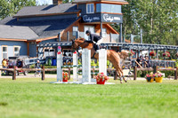 10496 - Shea - 2026 Rocky Mountain Classic II - Saturday August 15th