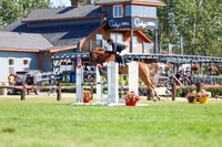 10497 - Shea - 2026 Rocky Mountain Classic II - Saturday August 15th