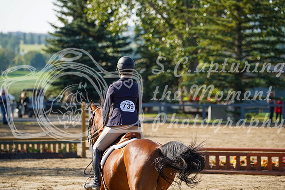 12298 - Grace - 2026 Rocky Mountain Classic II - Saturday August 15th