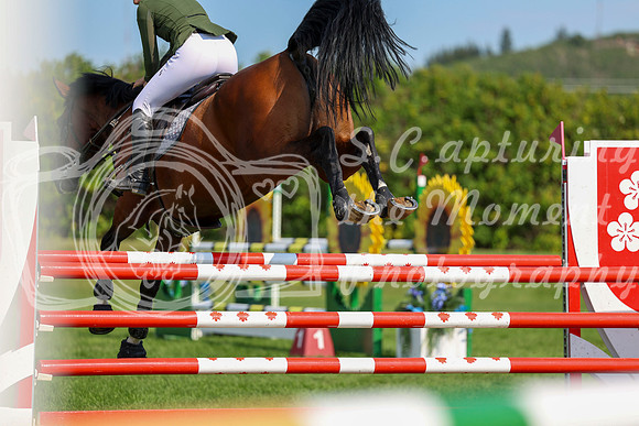 18363 - Shea - 2026 Rocky Mountain Classic II - Saturday August 15th