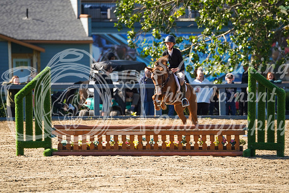 12334 - Grace - 2026 Rocky Mountain Classic II - Saturday August 15th