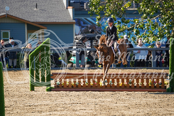 12336 - Grace - 2026 Rocky Mountain Classic II - Saturday August 15th
