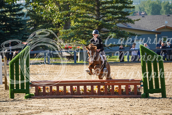 12339 - Grace - 2026 Rocky Mountain Classic II - Saturday August 15th