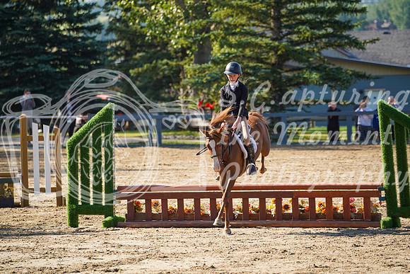 12342 - Grace - 2026 Rocky Mountain Classic II - Saturday August 15th