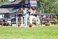 10596 - Shea - 2026 Rocky Mountain Classic II - Saturday August 15th