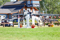 10597 - Shea - 2026 Rocky Mountain Classic II - Saturday August 15th