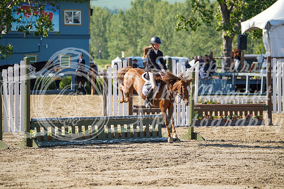 12351 - Grace - 2026 Rocky Mountain Classic II - Saturday August 15th