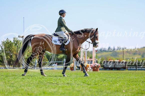 11227 - Shea - 2026 Rocky Mountain Classic II - Saturday August 15th